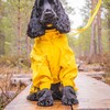 Rukka Pets Overall Protect gelb Abbildung 3