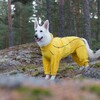 Rukka Pets Overall Protect gelb Abbildung 4
