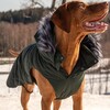 Rukka Pets Parka Frostbiter dark forest Abbildung 4