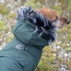 Rukka Pets Parka Frostbiter dark forest Abbildung 5