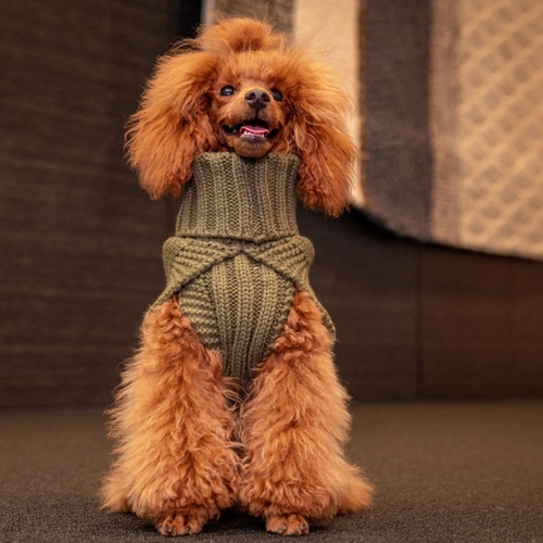 weitere Abbildung Rukka Pets Strickpullover Wooly olive