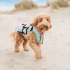 Suitical DRY® Cooling Vest Dog silber Abbildung 2