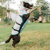 Suitical DRY® Cooling Vest Dog silber Abbildung 4