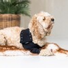 Suitical Recovery Front Leg Double Sleeve® Dog schwarz Abbildung 2