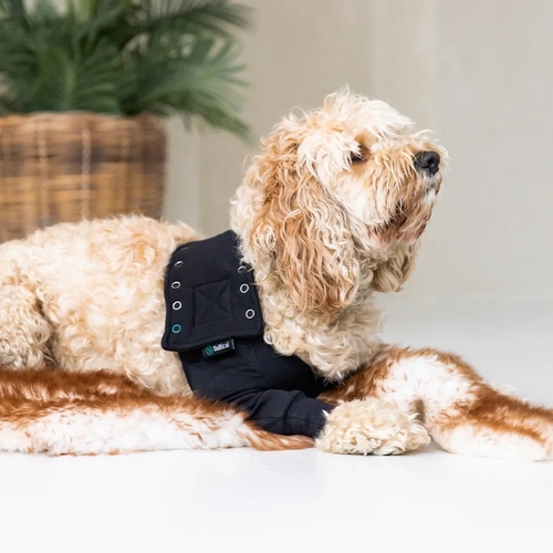 weitere Abbildung Suitical Recovery Front Leg Double Sleeve Dog schwarz