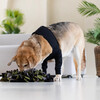 Suitical Recovery Front Leg Double Sleeve® Dog schwarz Abbildung 3