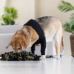Recovery Front Leg Double Sleeve® Dog schwarz, Abbildung 4