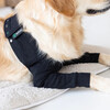 Suitical Recovery Front Leg Double Sleeve® Dog schwarz Abbildung 4