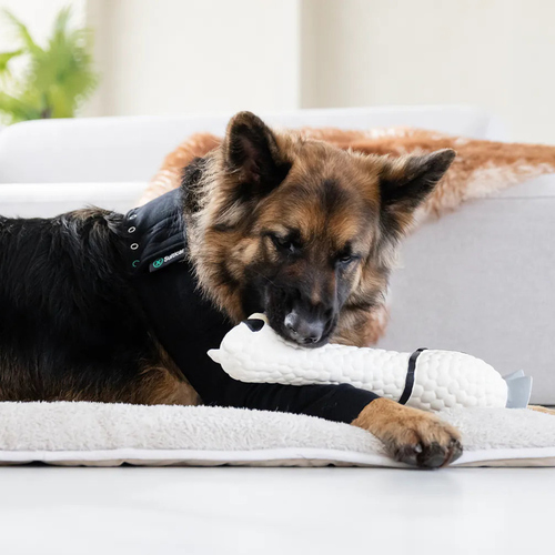 weitere Abbildung Suitical Recovery Front Leg Single Sleeve Dog schwarz