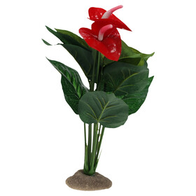 Abbildung Terra Della Dekoration Anthurium grn