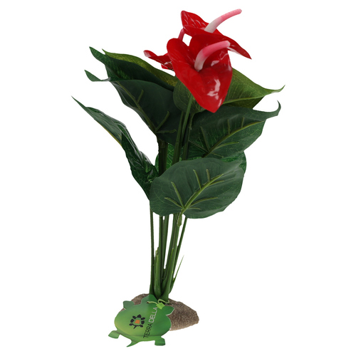 weitere Abbildung Terra Della Dekoration Anthurium grn
