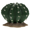 Terra Della Dekoration Kaktus Echinocactus grün Abbildung 1
