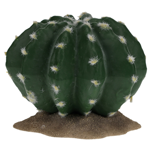 Terra Della Dekoration Kaktus Echinocactus grün