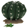 Terra Della Dekoration Kaktus Echinocactus grün Abbildung 2