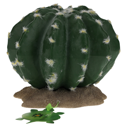 weitere Abbildung Terra Della Dekoration Kaktus Echinocactus grn