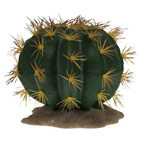 Abbildung Terra Della Dekoration Kaktus Echinocactus grn mit gelben Stacheln