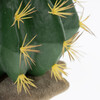 Terra Della Dekoration Kaktus Echinocactus grün mit gelben Stacheln Abbildung 4