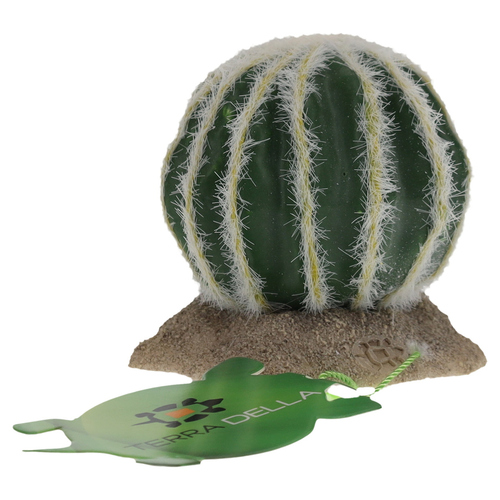 weitere Abbildung Terra Della Dekoration Kaktus Echinocactus grn mit kleinen Stacheln