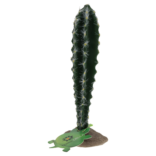 weitere Abbildung Terra Della Dekoration Kaktus mit Stacheln sulenfrmig grn