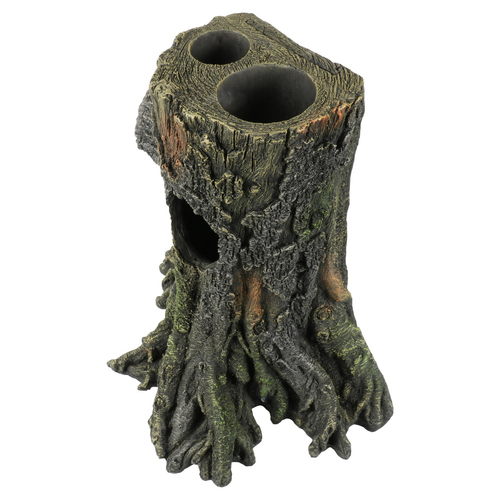 weitere Abbildung Terra Della Gecko-Baum