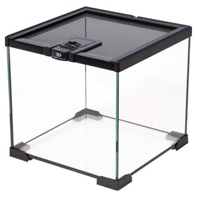 Terra Della Glas-Terrarium schwarz