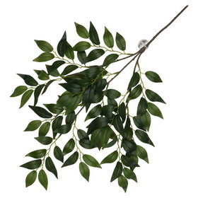 Abbildung Terra Della Hngepflanze Banyan grn