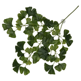 Abbildung Terra Della Hngepflanze Ginko dunkelgrn
