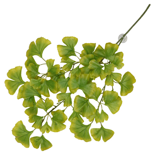 Terra Della Hängepflanze Ginko grün