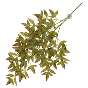 Abbildung Terra Della Hngepflanze Nandina rot