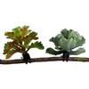 Terra Della Plastikpflanze Branch Plants Abbildung 3
