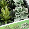 Terra Della Plastikpflanze Branch Plants Abbildung 4
