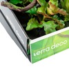 Terra Della Plastikpflanze Branch Plants Abbildung 5