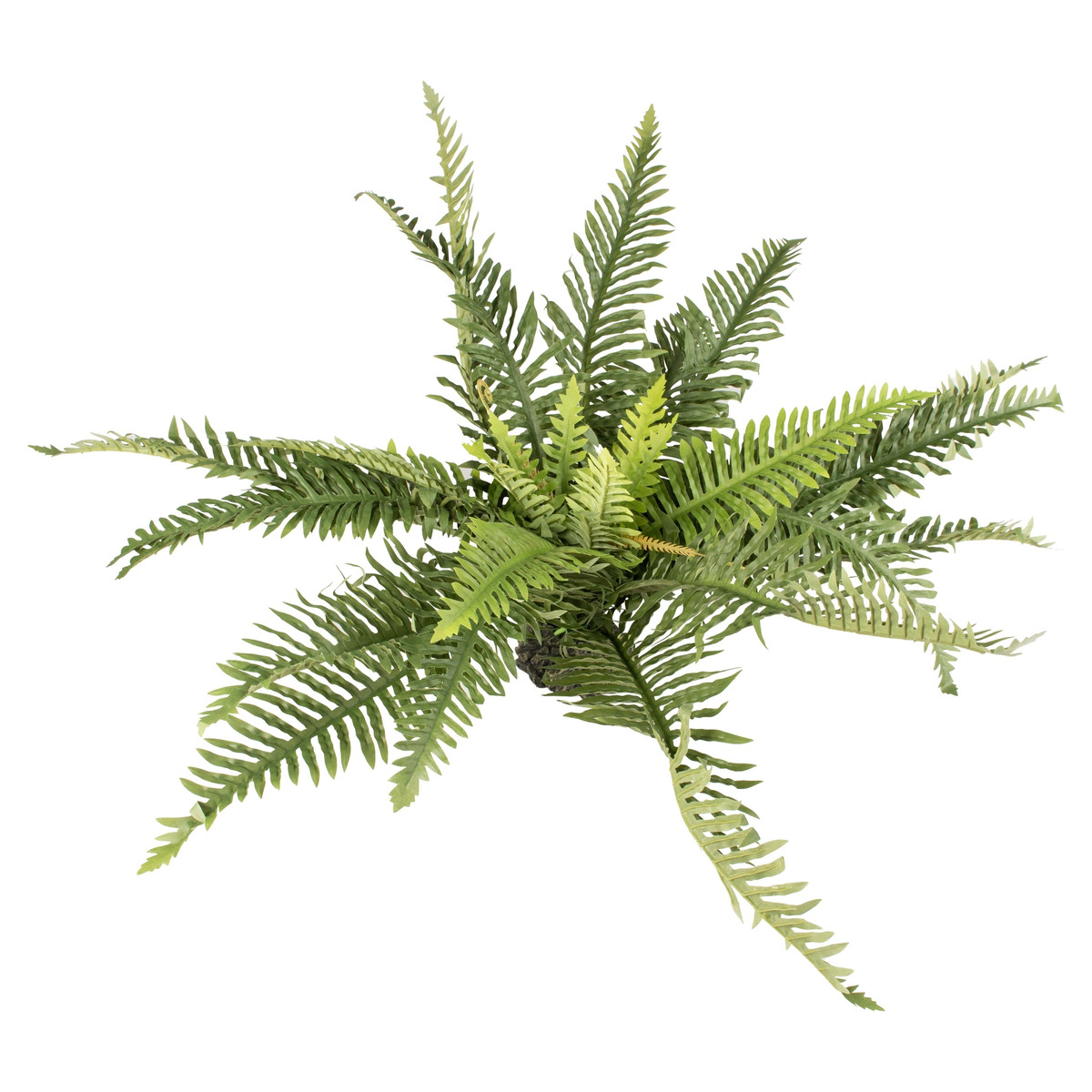 Terra Della Plastikpflanze Farn Grün für Terrarium