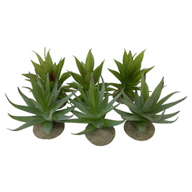 Abbildung Terra Della Terrarium Dekoration Aloe