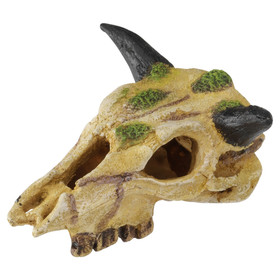 Abbildung Terra Della Terrarium Dekoration Caraboa Totenkopf