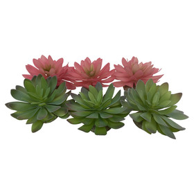 Abbildung Terra Della Terrarium Dekoration Echeveria grn/rot