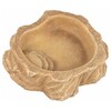 Terra Della Wassernapf Sand sand Abbildung 3