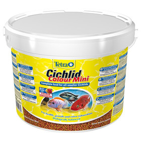 Abbildung Tetra Cichlid Colour Mini