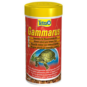 Abbildung Tetra Gammarus