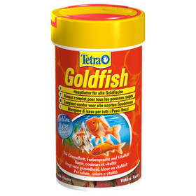 Abbildung Tetra Goldfish