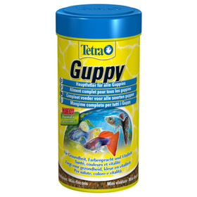 Abbildung Tetra Guppy