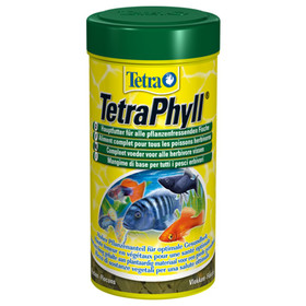 Abbildung Tetra Phyll