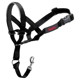 Abbildung The Company of Animals Halti Headcollar