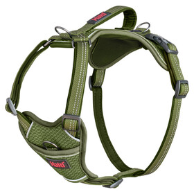 The Company of Animals Hundegeschirr Anatomy Harness Green