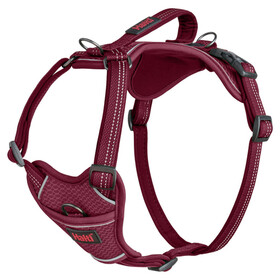 The Company of Animals Hundegeschirr Anatomy Harness Magenta