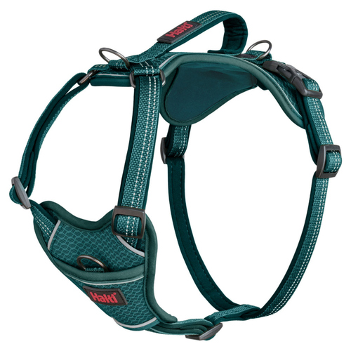 Hundegeschirr Anatomy Harness Teal, Abbildung 1