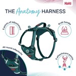 Hundegeschirr Anatomy Harness Teal, Abbildung 2