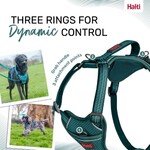 Hundegeschirr Anatomy Harness Teal, Abbildung 4