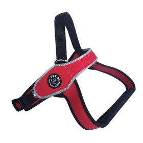 Tre Ponti TP710 Primo Classic mit reflektierendem Rand rot