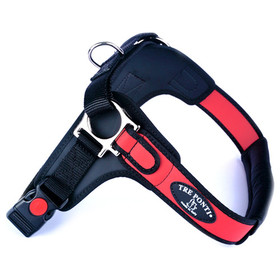 Tre Ponti TP850 Forza mit schwarzem Rand rot